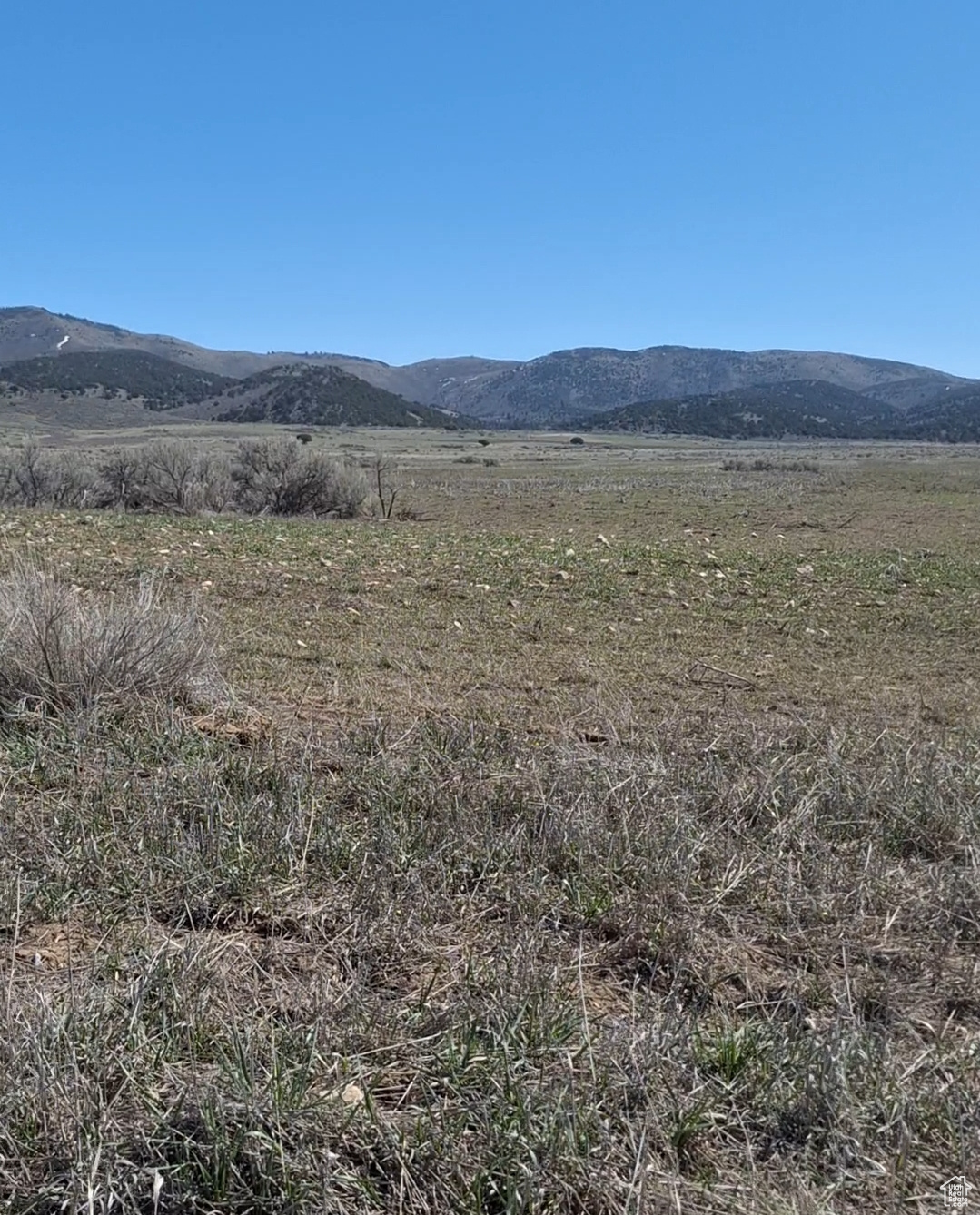 Land, Bancroft, Idaho image 6