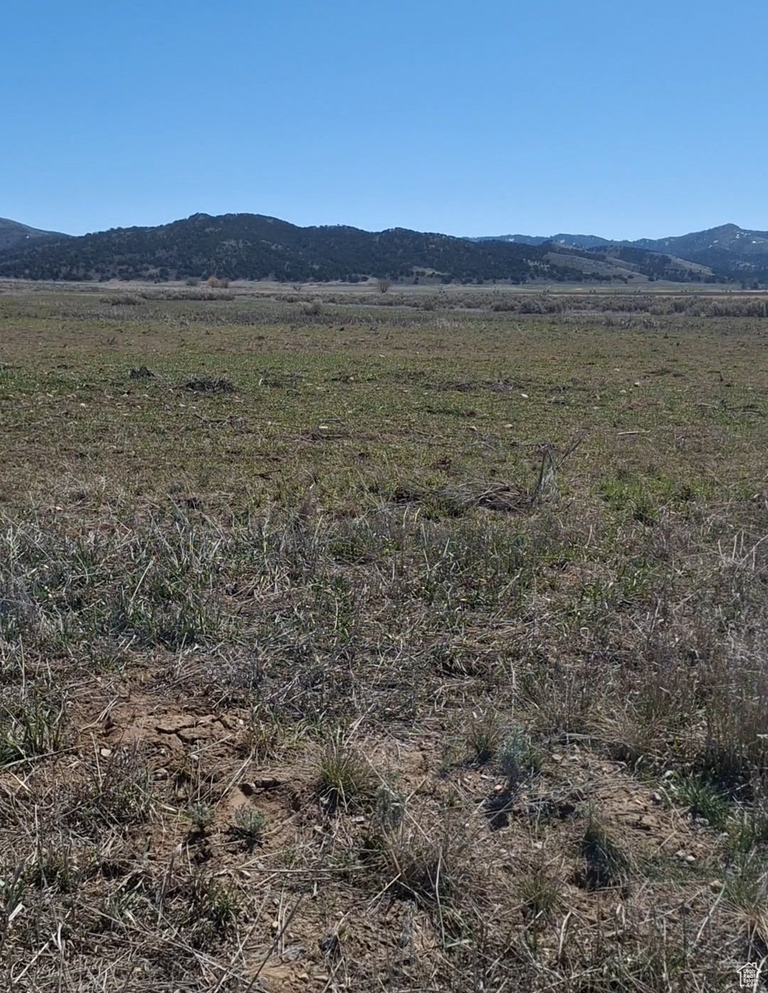 Land, Bancroft, Idaho image 3