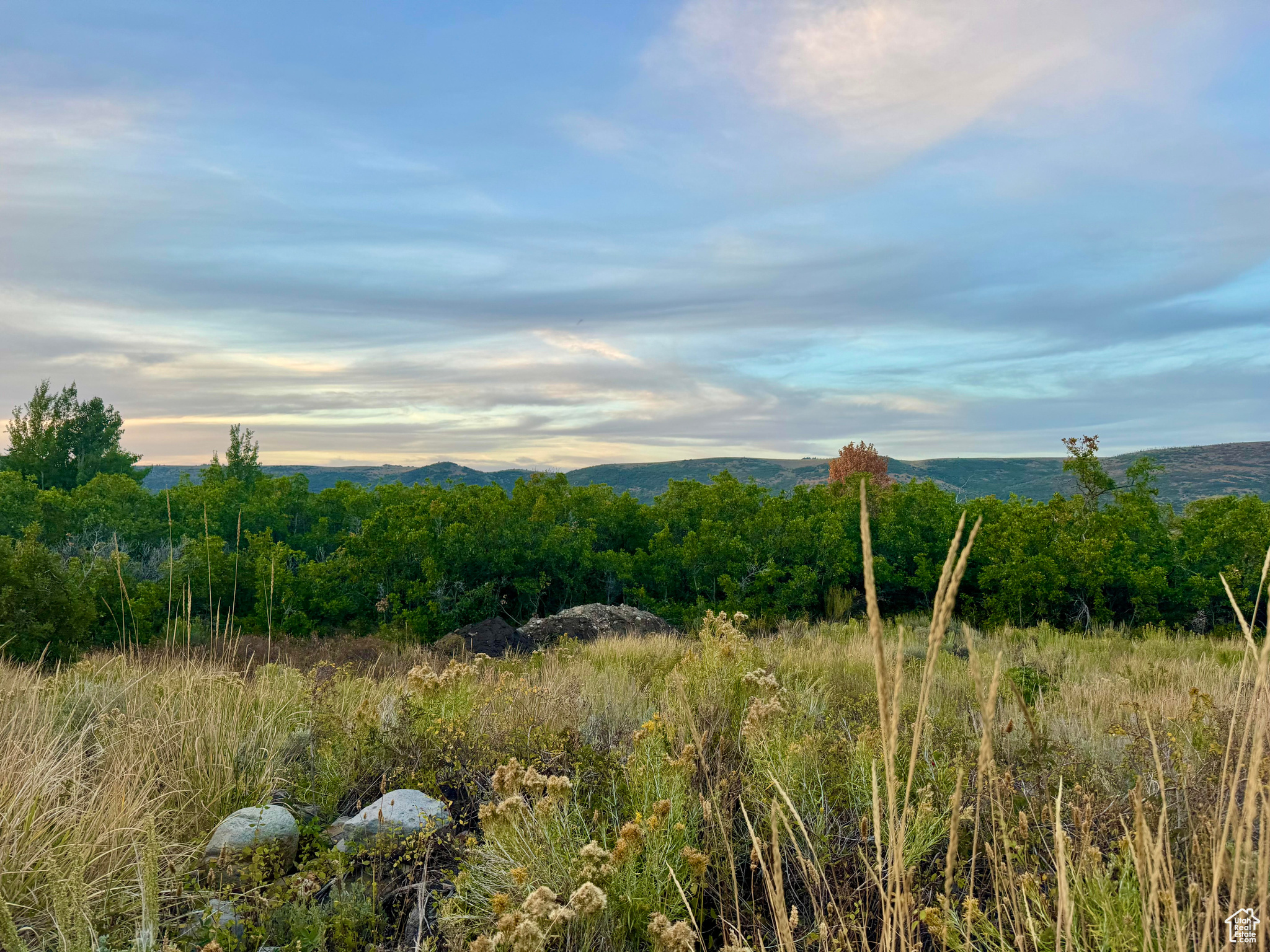 TIMBER LAKES - Land