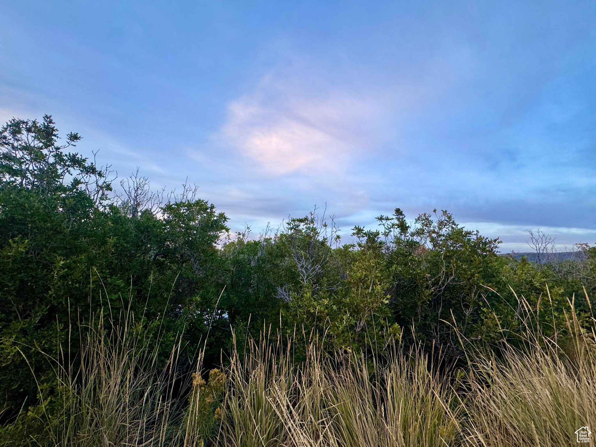 TIMBER LAKES - Land