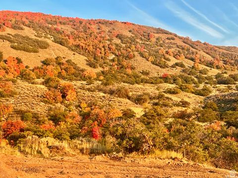 Tiny photo for 1779 E TERRACE DR N #29-R, Fruit Heights, UT 84037 (MLS # 2065074)