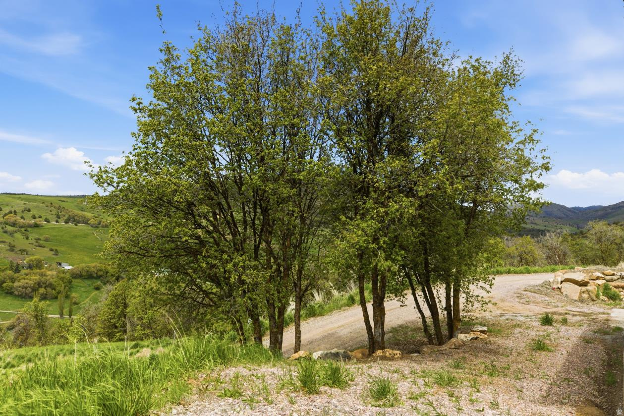 CUB RIVER ACRES SUBDIVISION - Residential