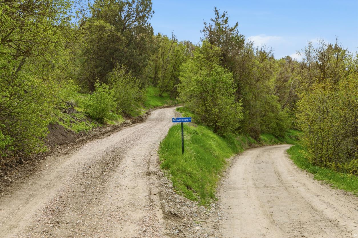 CUB RIVER ACRES SUBDIVISION - Residential