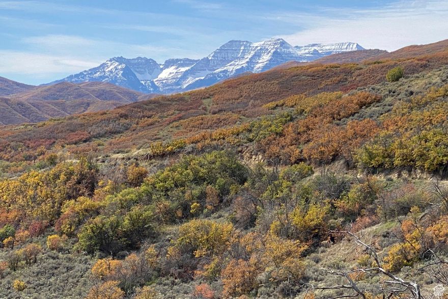 Perhaps, the only remaining trophy undeveloped large acreage estate parcel in Park City/Midway nestled up elevation into the Wasatch Range, combining a spectacular mountain setting with irrigated fields below. Alternatives have long ago been subdivided out or deed restricted. 67.48 acres (plus additional 5-acre irrigated field) in Midway for a total of 72.48 acres. Wooded uplands and foothills high above and overlooking Midway, Heber Valley, and multiple large estate pasture lands at the foot of the parcel (the most recent selling for $375,000 /acre). Rich natural vegetation and fall foliage benefitting from an elevated and predominantly easterly (much more moist) exposure. 1.5 shares of Midway Irrigation Co. plus 5 more shares with the irrigated field for a total of 19.5-acre feet. Elevations run over 300 feet from 5585 ft. elevation to 5980 ft. Access directly from 500 South via 5 acre irrigated parcel. The ultimate viewsheds in Midway, with elevated views -from far above the valley floor -in all directions including Mt. Timpanogos, the High Uintas, Deer Creek reservoir, and some of the Wasatch's tallest peaks. Offering: extraordinary 360 degree elevated views, terrain for premier equestrian and other recreational activities, (if pursued) major tax deduction benefits, and private recreational access to thousands of acres of State Park foothill /mountain /mountain valley lands to which the public has little access. Nearby 1.17 miles to Midway's Main Street and 2.75 miles to Soldier Hollow Golf Course and Olympic Nordic Center. Travel time. Heber Valley Airport 12 minutes, Deer Valley Deer Crest Gondola 19 minutes, Jordanelle Reservoir 19 minutes, Park City Main Street 25 minutes, Provo 35 minutes, SLC Airport 53 minutes. Bordered on the east: Predominantly bordered and protected by the private 80-acre Estate of a prominent owner (Bear North overlooks from above) which includes prime irrigated fields and horse grounds in permanent preservation. On the west and north: Bordered and protected by l000's of acres of Wasatch State Park recreational mountain lands, predominantly inaccessible to the public but serving as the property's virtually private mountain recreation playground. On the south: Bordered and protected on the south by the Bear South property.