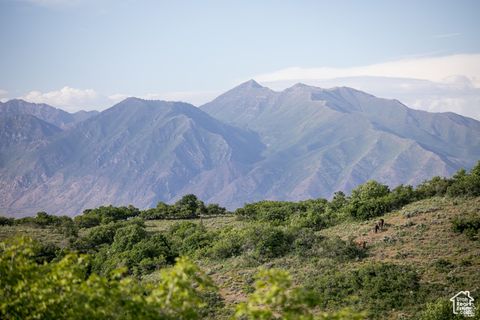 Tiny photo for 1043 S SUMMIT DR #142, Woodland Hills, UT 84653 (MLS # 2117909)