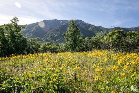 Tiny photo for 1043 S SUMMIT DR #142, Woodland Hills, UT 84653 (MLS # 2117909)