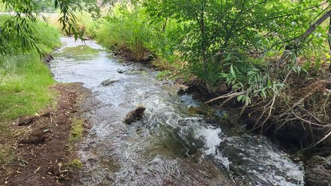 Tiny photo for 806 STRINGTOWN RD #2, Midway, UT 84049 (MLS # 2132588)