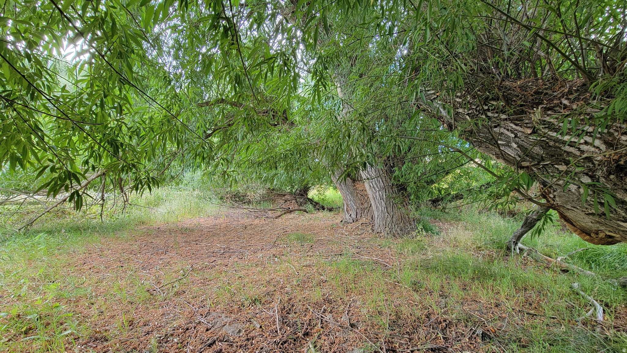 COZENS SUBDIVISION - Land