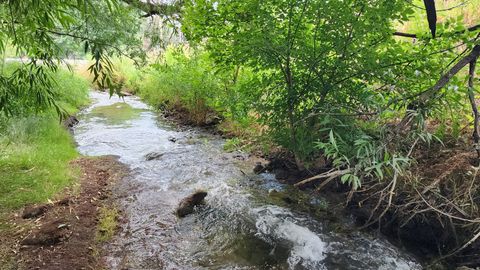 Tiny photo for 806 STRINGTOWN RD #2, Midway, UT 84049 (MLS # 2132588)