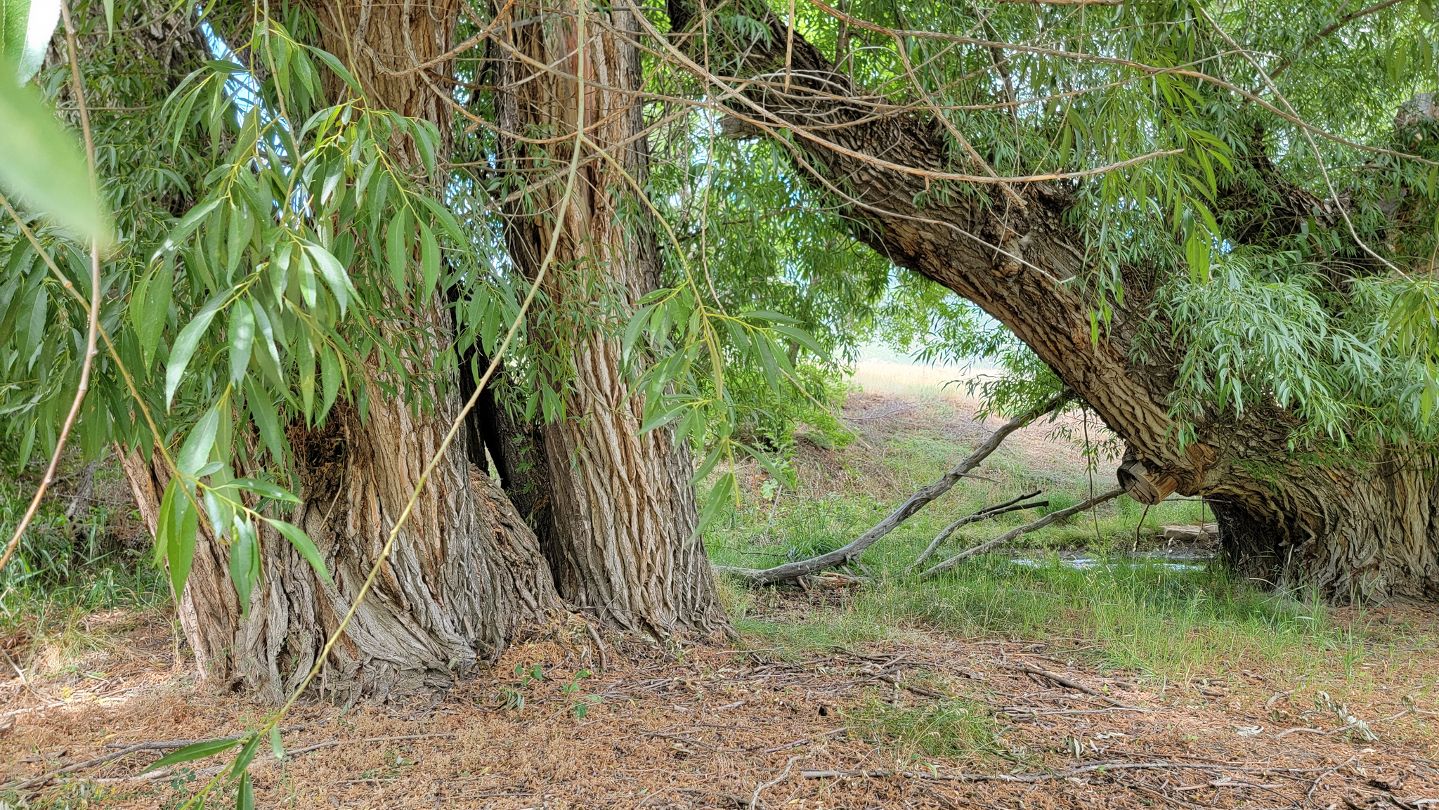 COZENS SUBDIVISION - Land