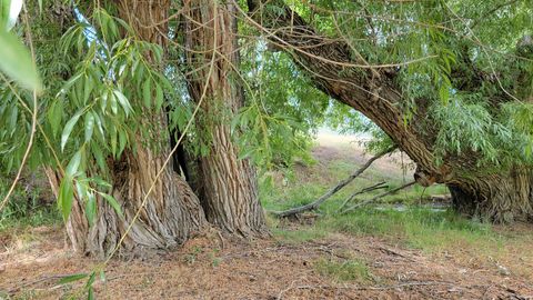 Tiny photo for 806 STRINGTOWN RD #2, Midway, UT 84049 (MLS # 2132588)