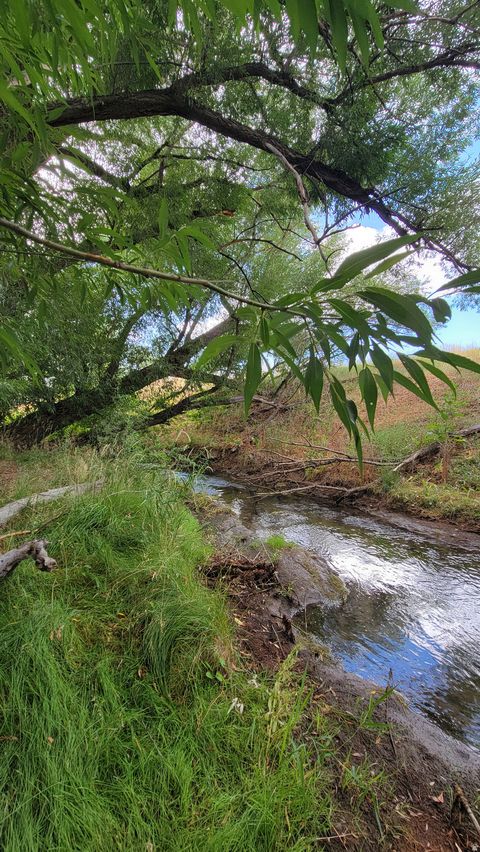 Tiny photo for 806 STRINGTOWN RD #2, Midway, UT 84049 (MLS # 2132588)