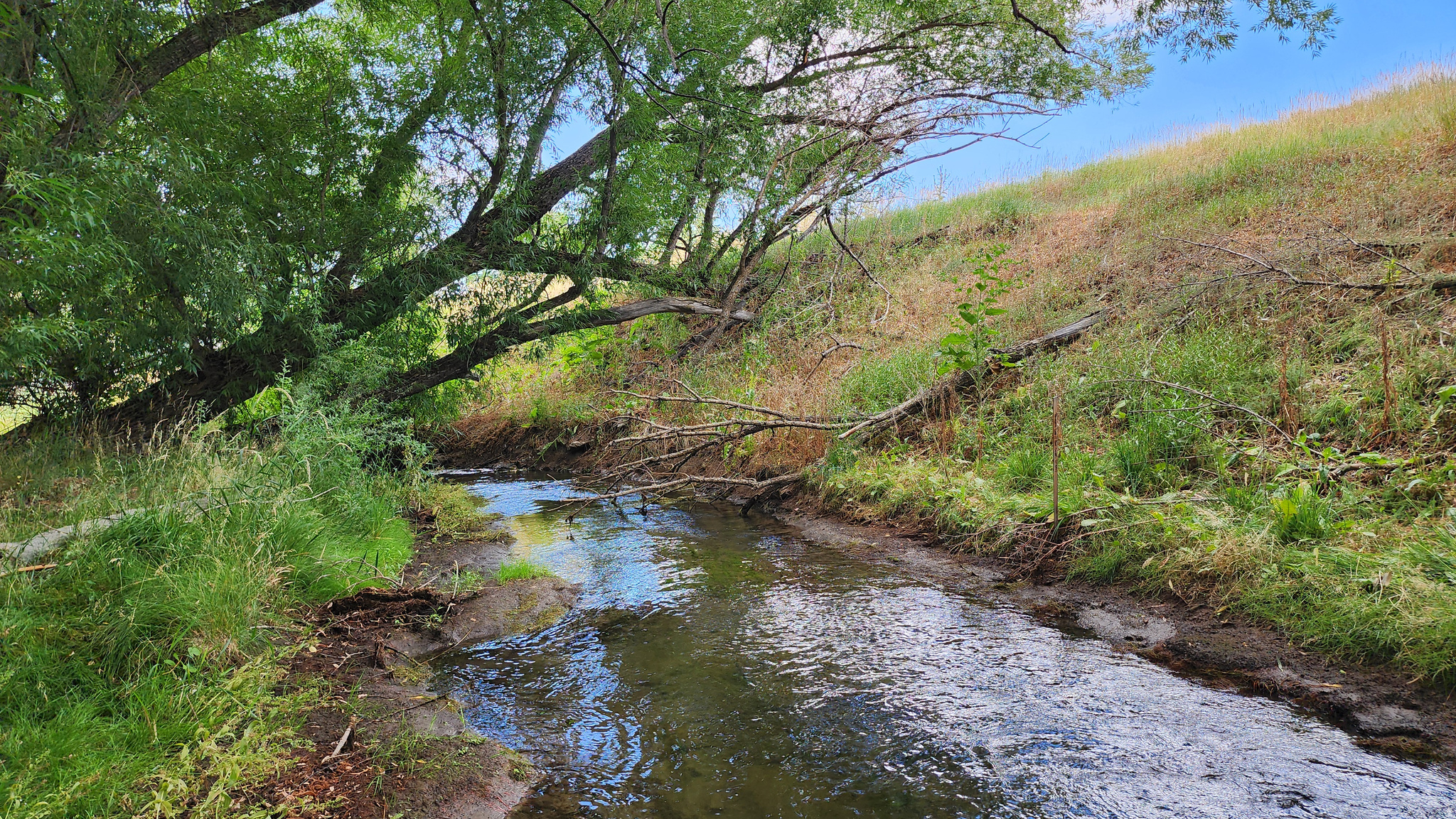 COZENS SUBDIVISION - Land