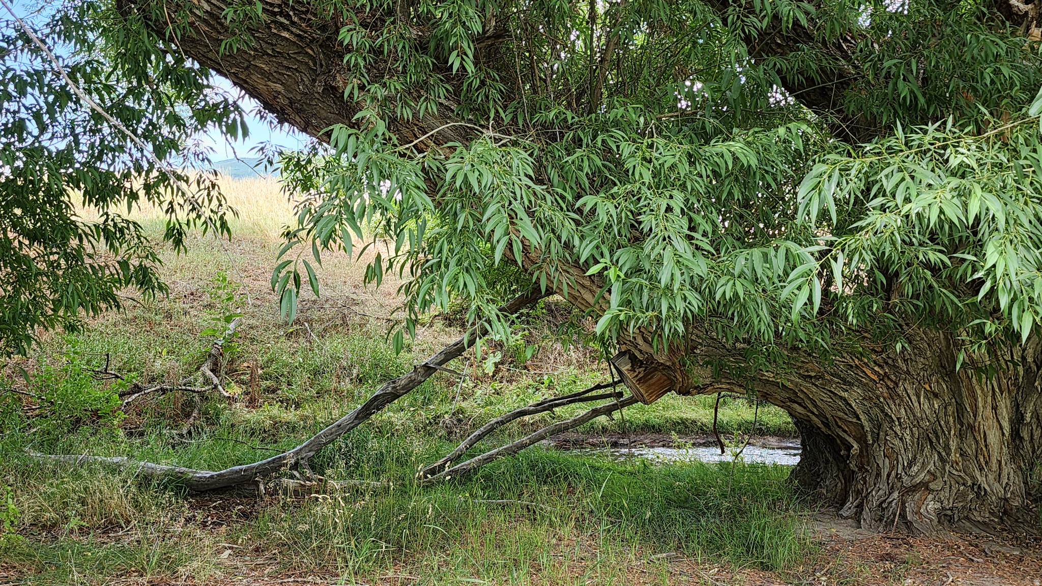 COZENS SUBDIVISION - Land