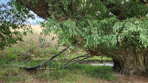 Tiny photo for 806 STRINGTOWN RD #2, Midway, UT 84049 (MLS # 2132588)