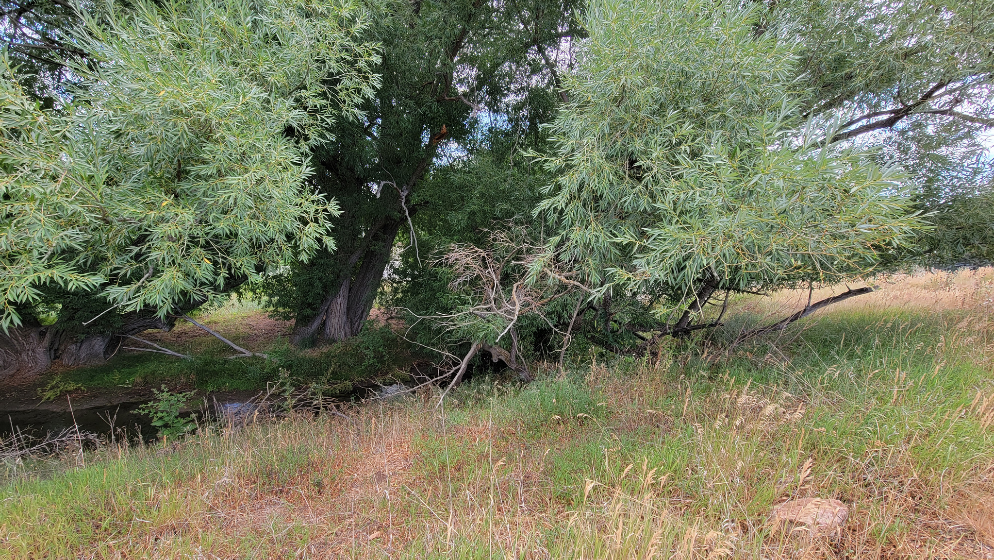 COZENS SUBDIVISION - Land