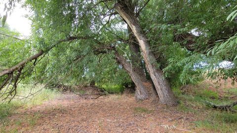 Tiny photo for 806 STRINGTOWN RD #2, Midway, UT 84049 (MLS # 2132588)