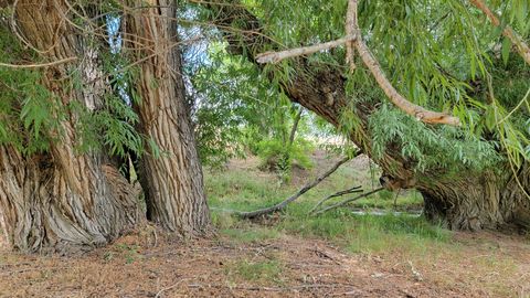 Tiny photo for 806 STRINGTOWN RD #2, Midway, UT 84049 (MLS # 2132588)