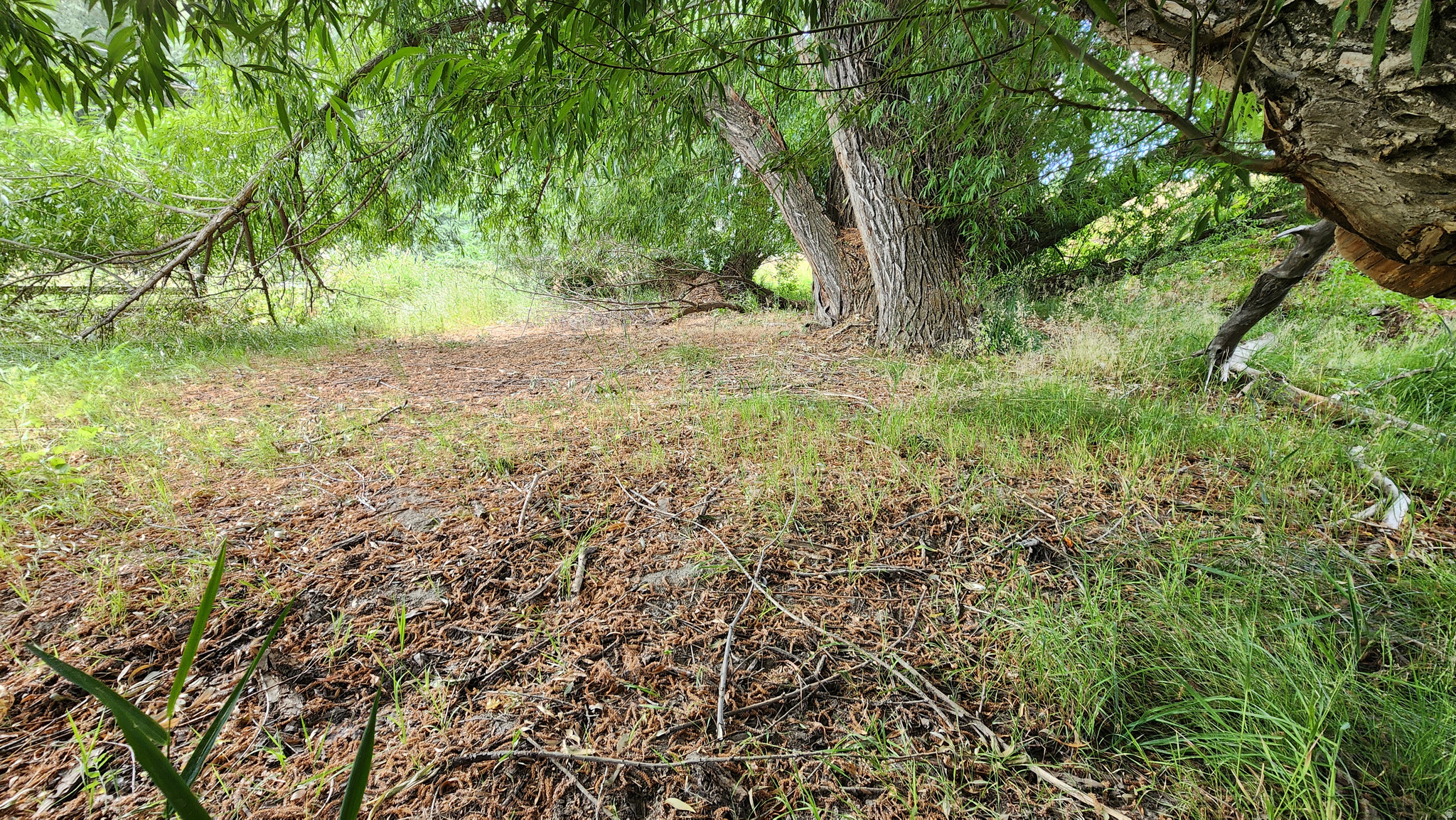 COZENS SUBDIVISION - Land