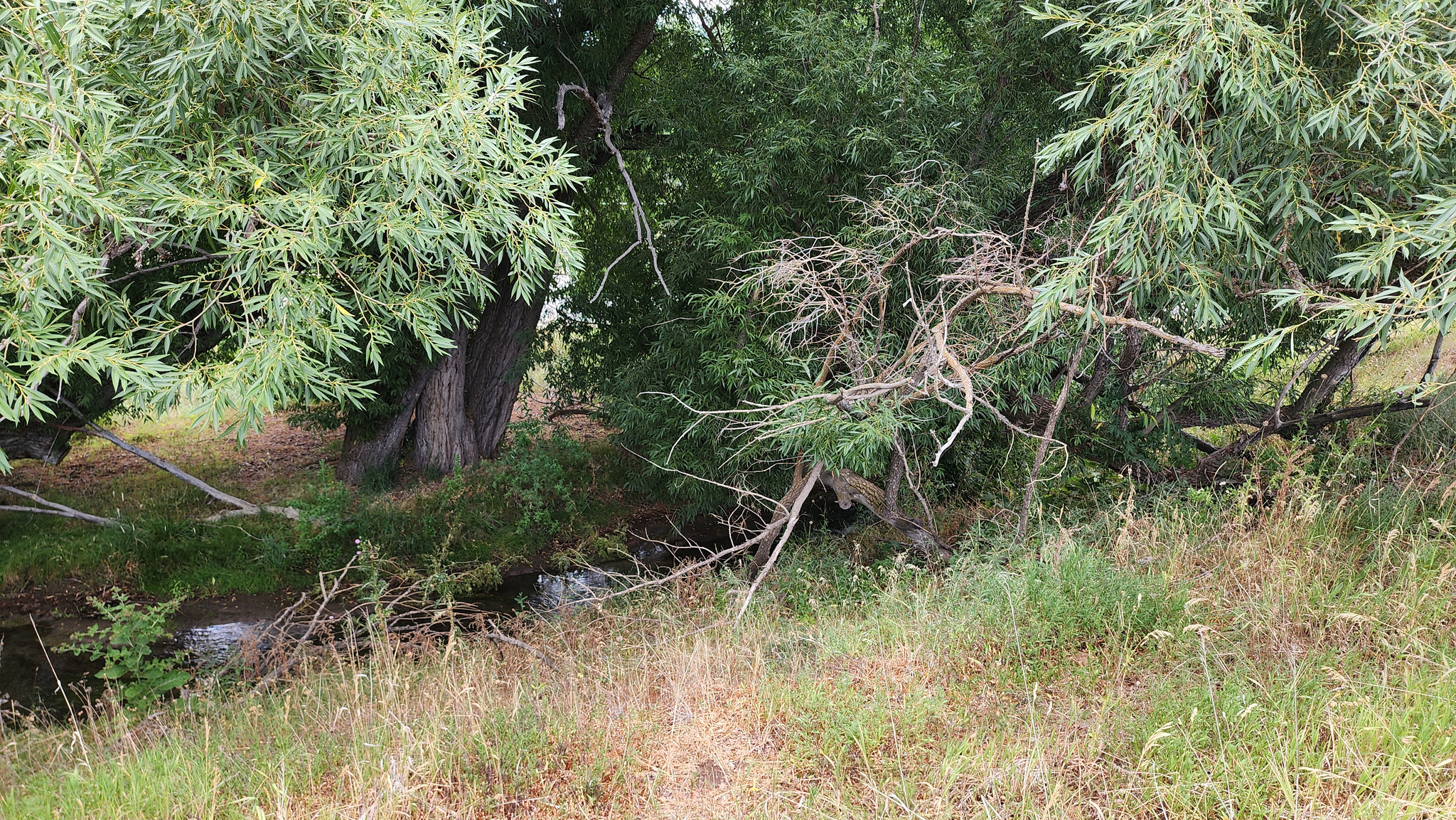 COZENS SUBDIVISION - Land