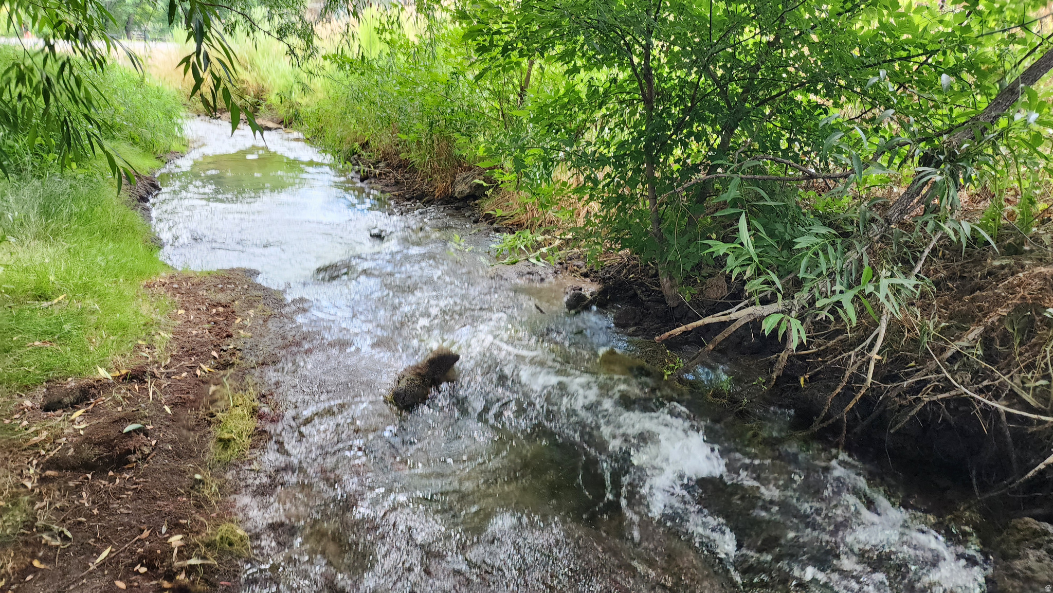 COZENS SUBDIVISION - Land