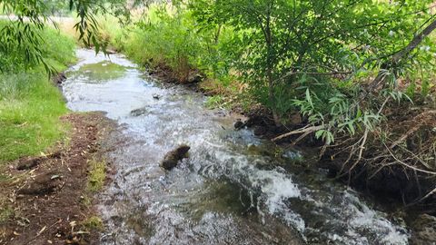 Tiny photo for 806 STRINGTOWN RD #2, Midway, UT 84049 (MLS # 2132588)