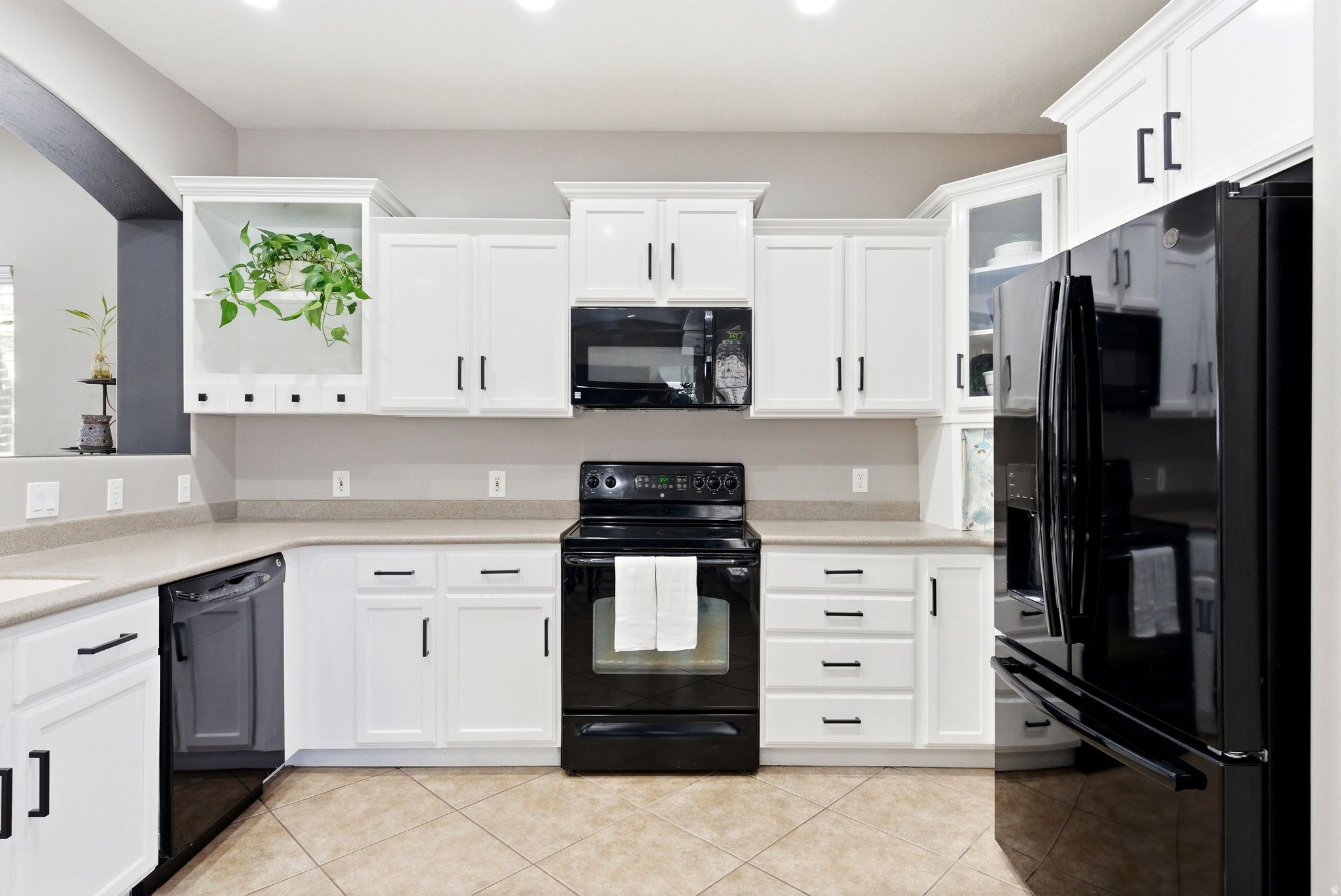 MONARCH MEADOWS - Residential