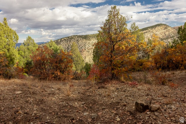 SKYLINE VILLAS, ESTATES SUBDIVISION - Land