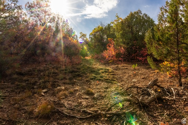 SKYLINE VILLAS, ESTATES SUBDIVISION - Land