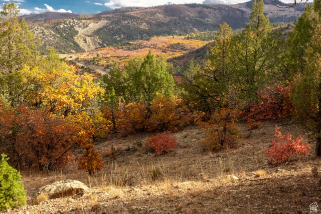 SKYLINE VILLAS, ESTATES SUBDIVISION - Land