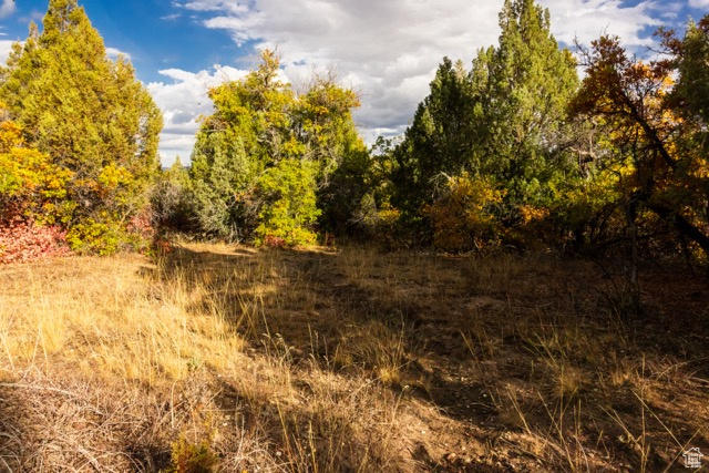 SKYLINE VILLAS, ESTATES SUBDIVISION - Land