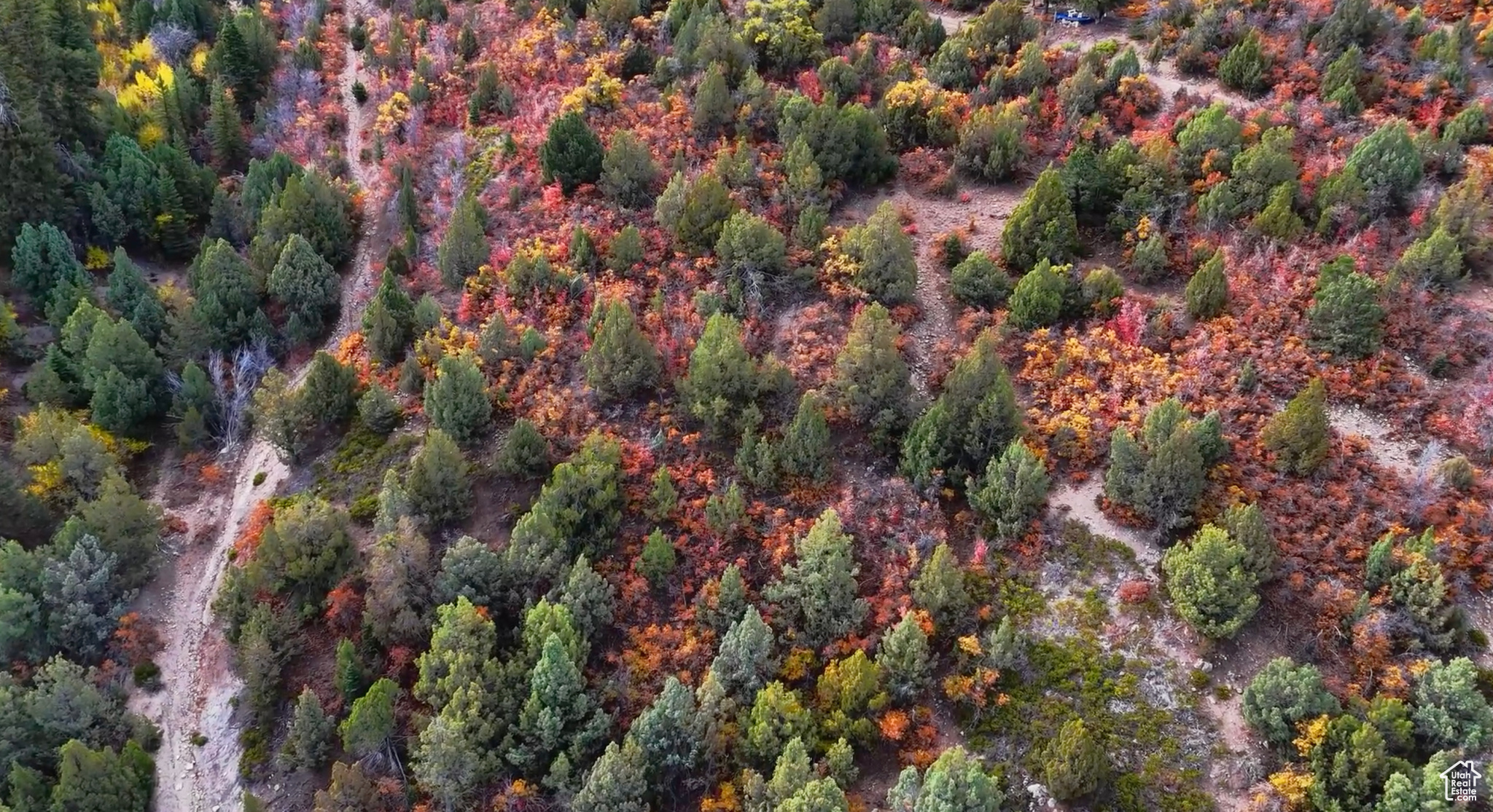 SKYLINE VILLAS, ESTATES SUBDIVISION - Land