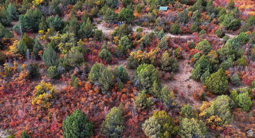 Own your escape in Ephraim Canyon of 4 acres surrounded by trees, scenic views, and endless possibilities. The area is perfect for ATVs, hunting, biking, and exploring. This property makes an incredible basecamp or off-grid cabin site you've been dreaming about. Quiet, private, and minutes from town, yet miles from the noise. Buyer to verify all information.