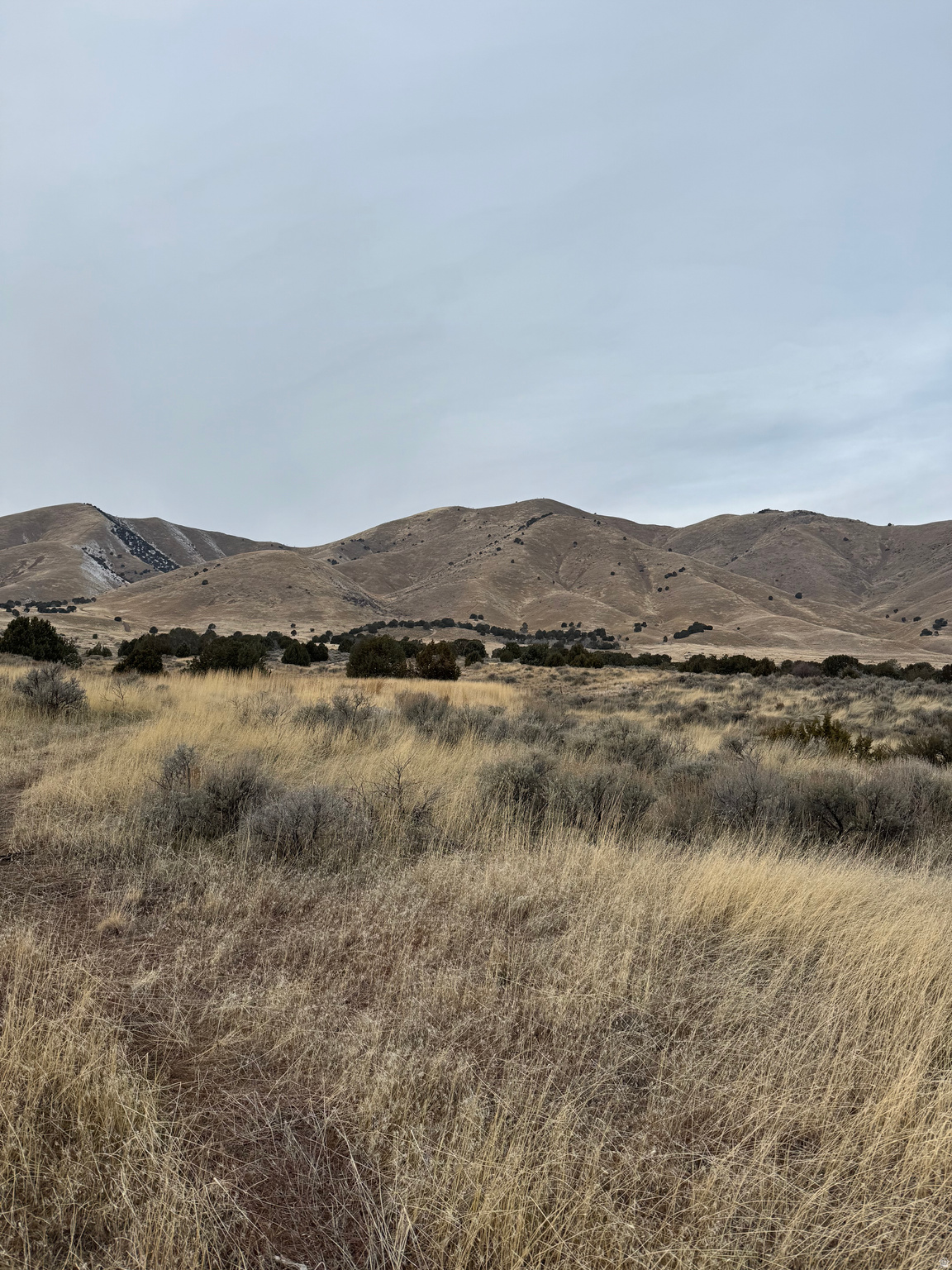 LIDDLE VIEW ESTATES - Land