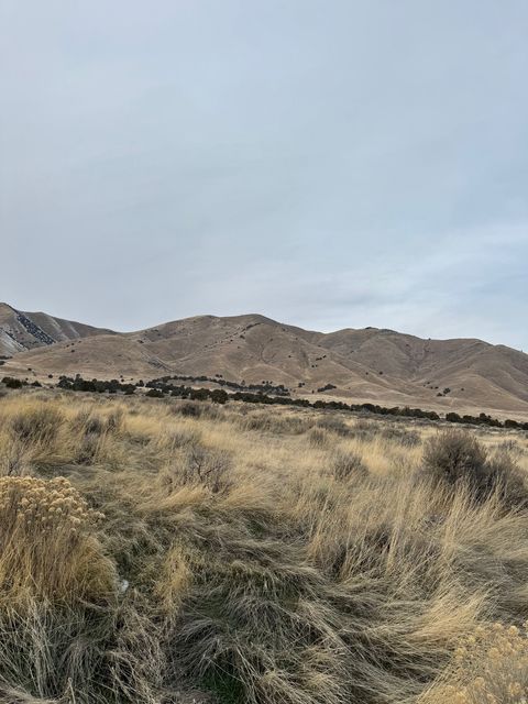 Tiny photo for 6300 W 10000 #2, Payson, UT 84651 (MLS # 2133137)