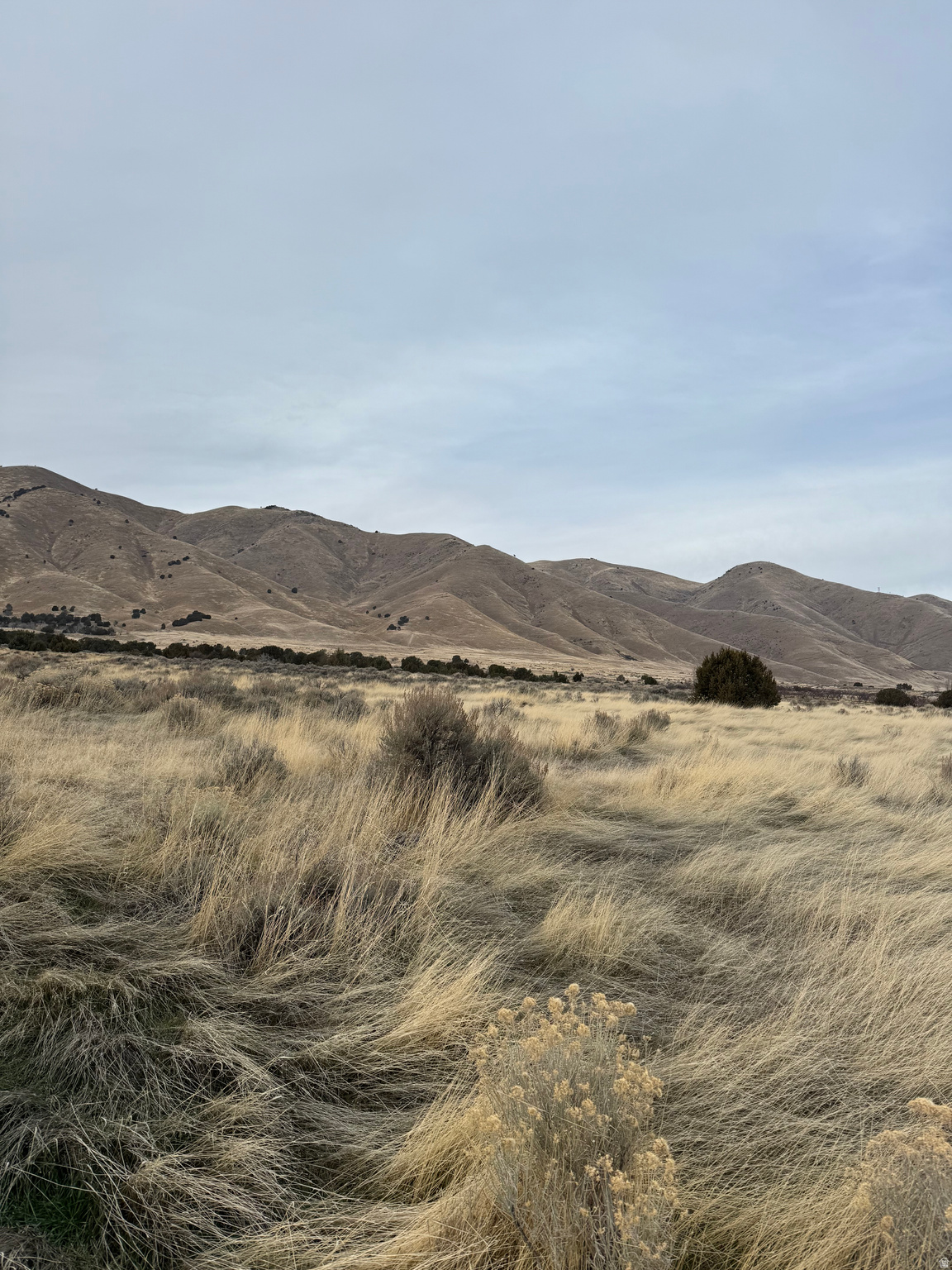 LIDDLE VIEW ESTATES - Land