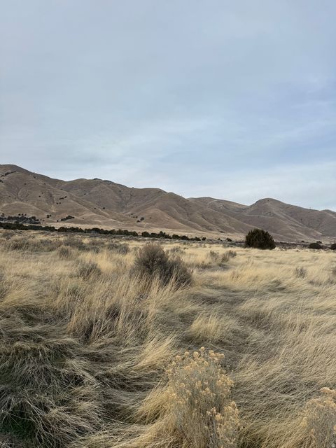 Tiny photo for 6300 W 10000 #2, Payson, UT 84651 (MLS # 2133137)