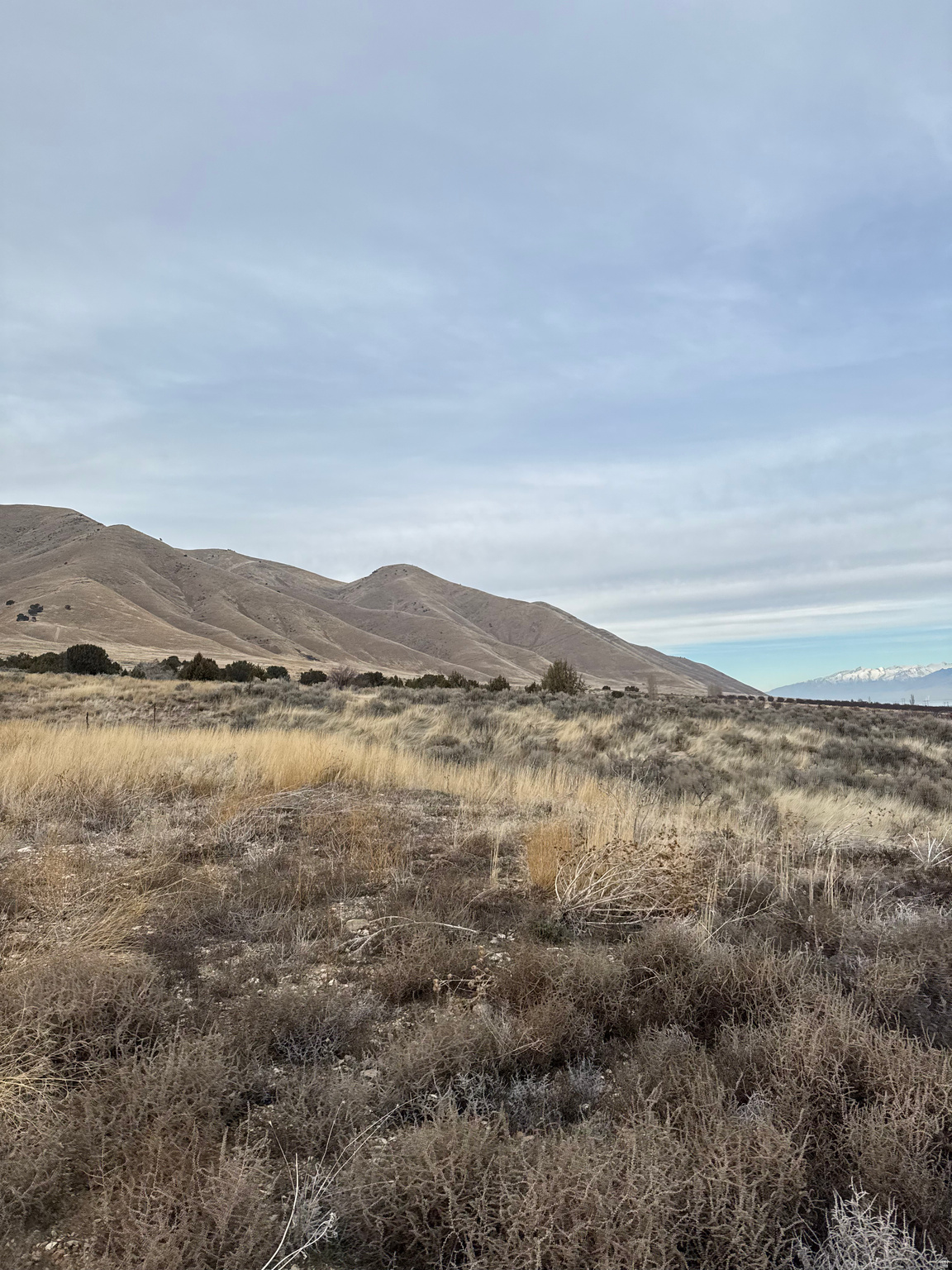 LIDDLE VIEW ESTATES - Land