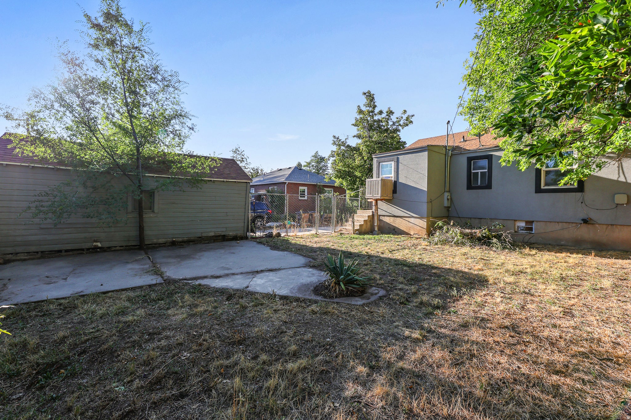 Back yard