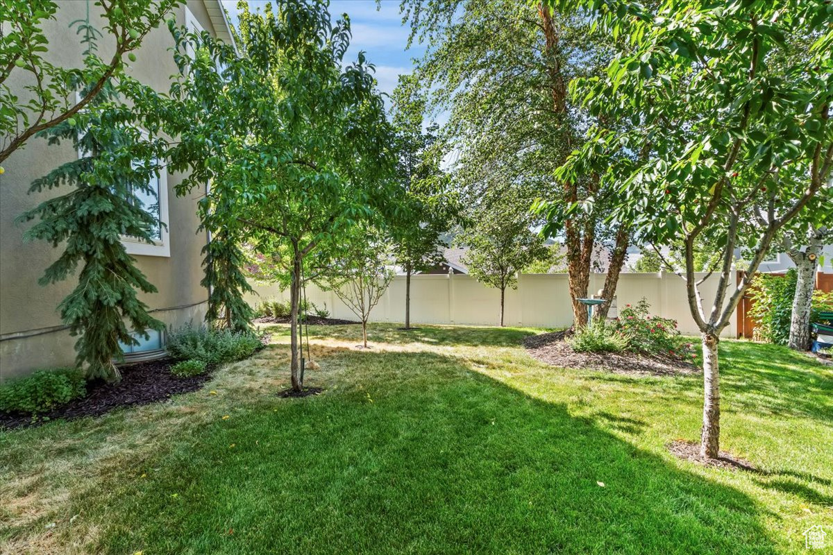 LEXINGTON STATION - Residential