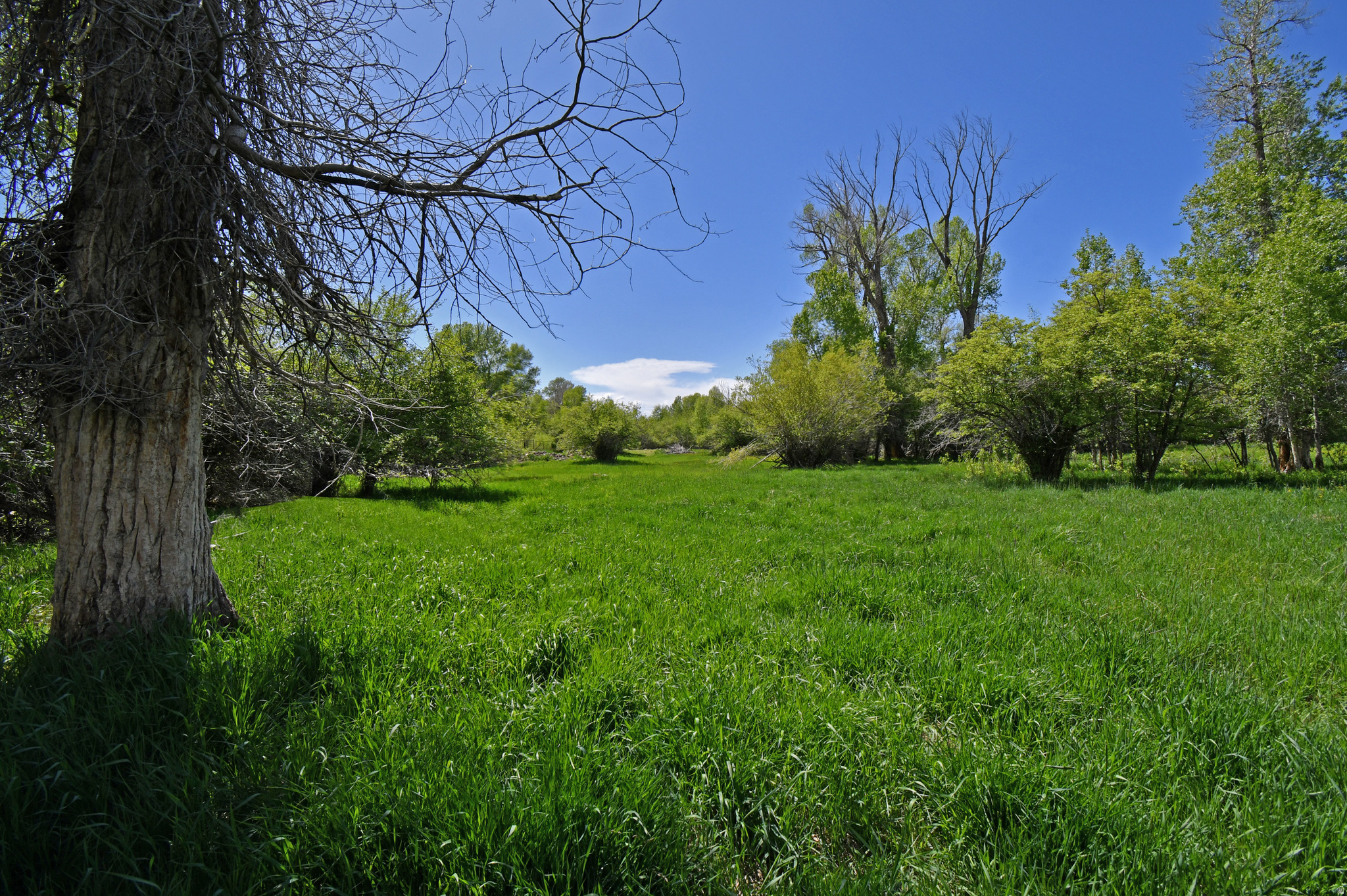SOUTH SUMMIT - Land