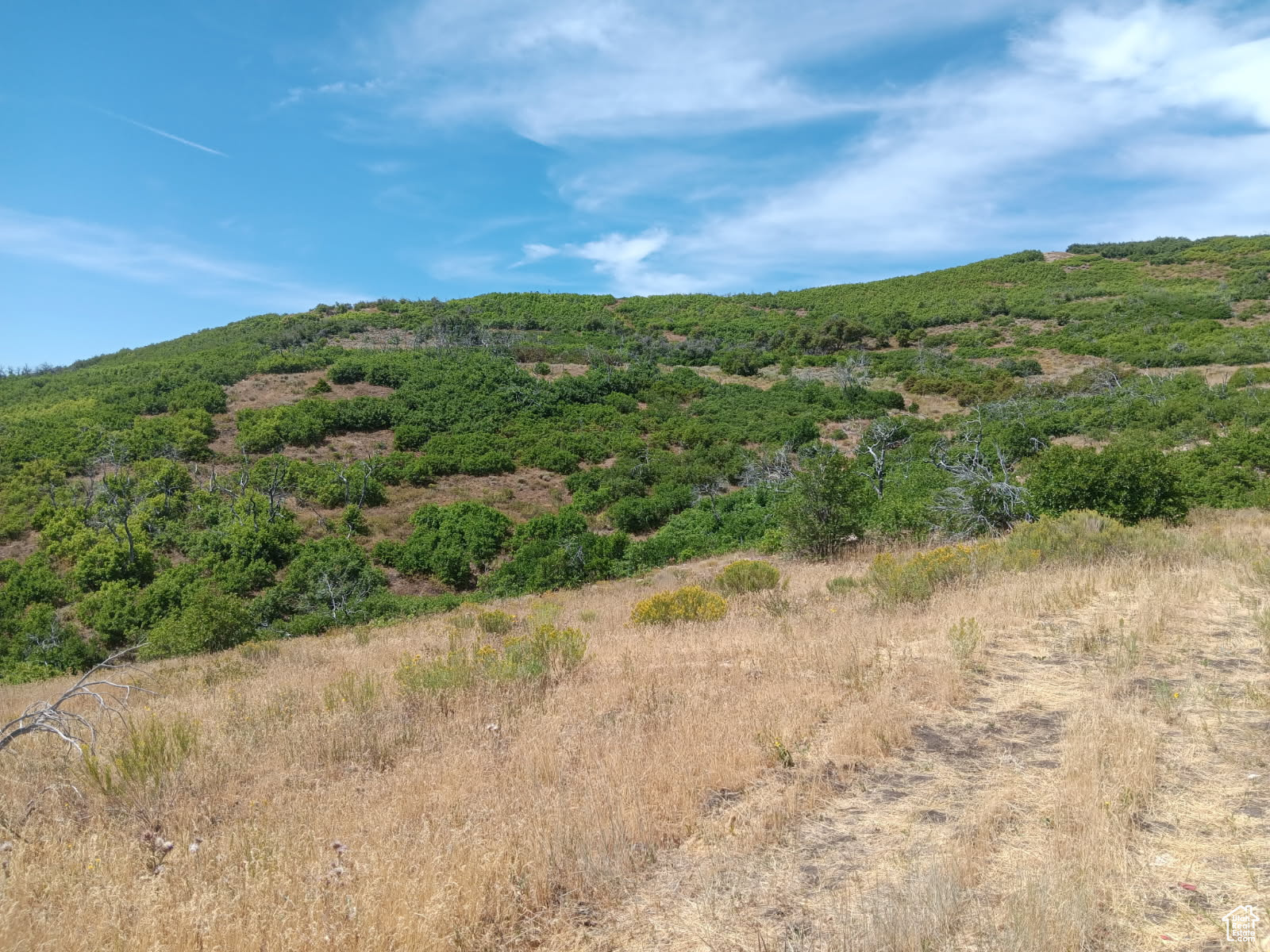 ELK HORN RANCHES - Land