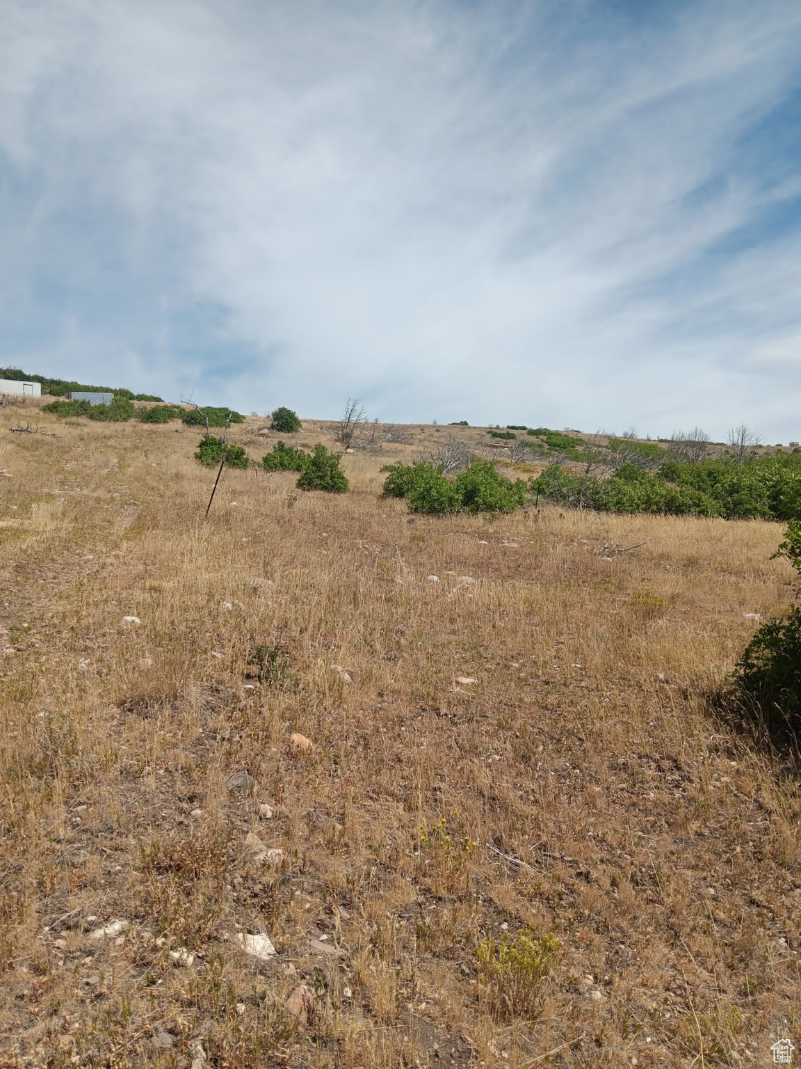 ELK HORN RANCHES - Land