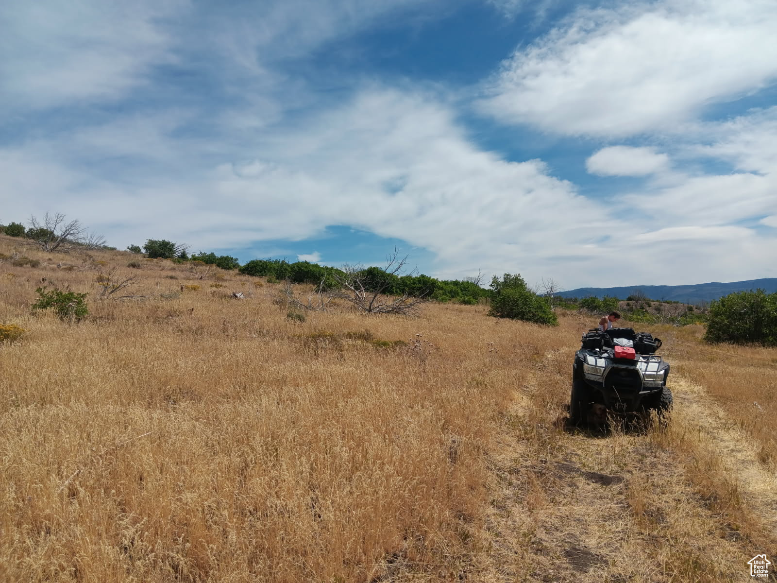 ELK HORN RANCHES - Land