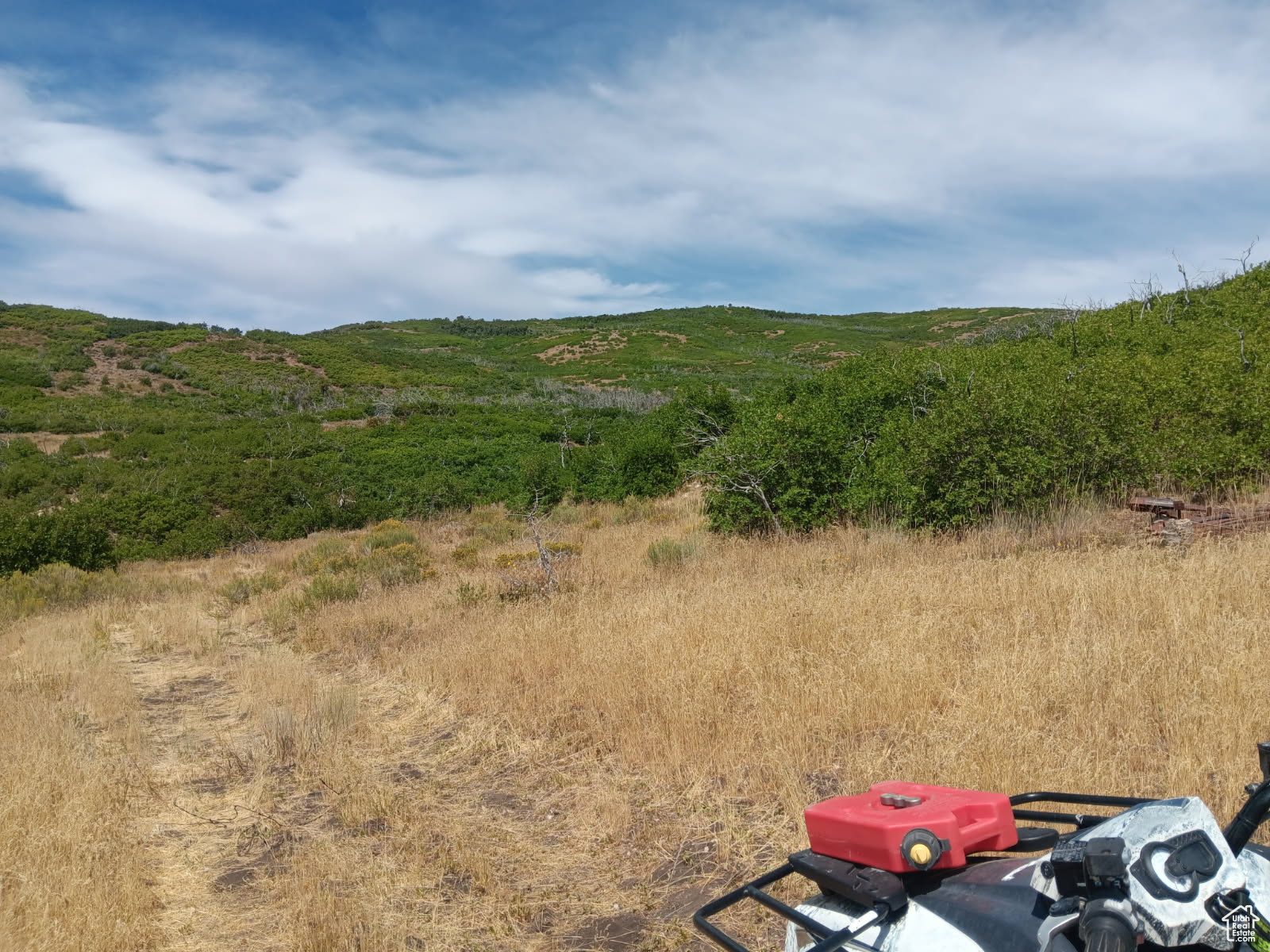 ELK HORN RANCHES - Land