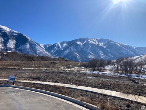 Vacant Land For Sale - 1606 S 920 #68<br/> Salem, UT 84653
