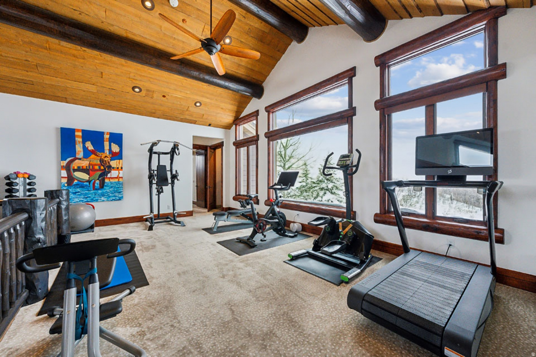 SNOW TOP - Residential