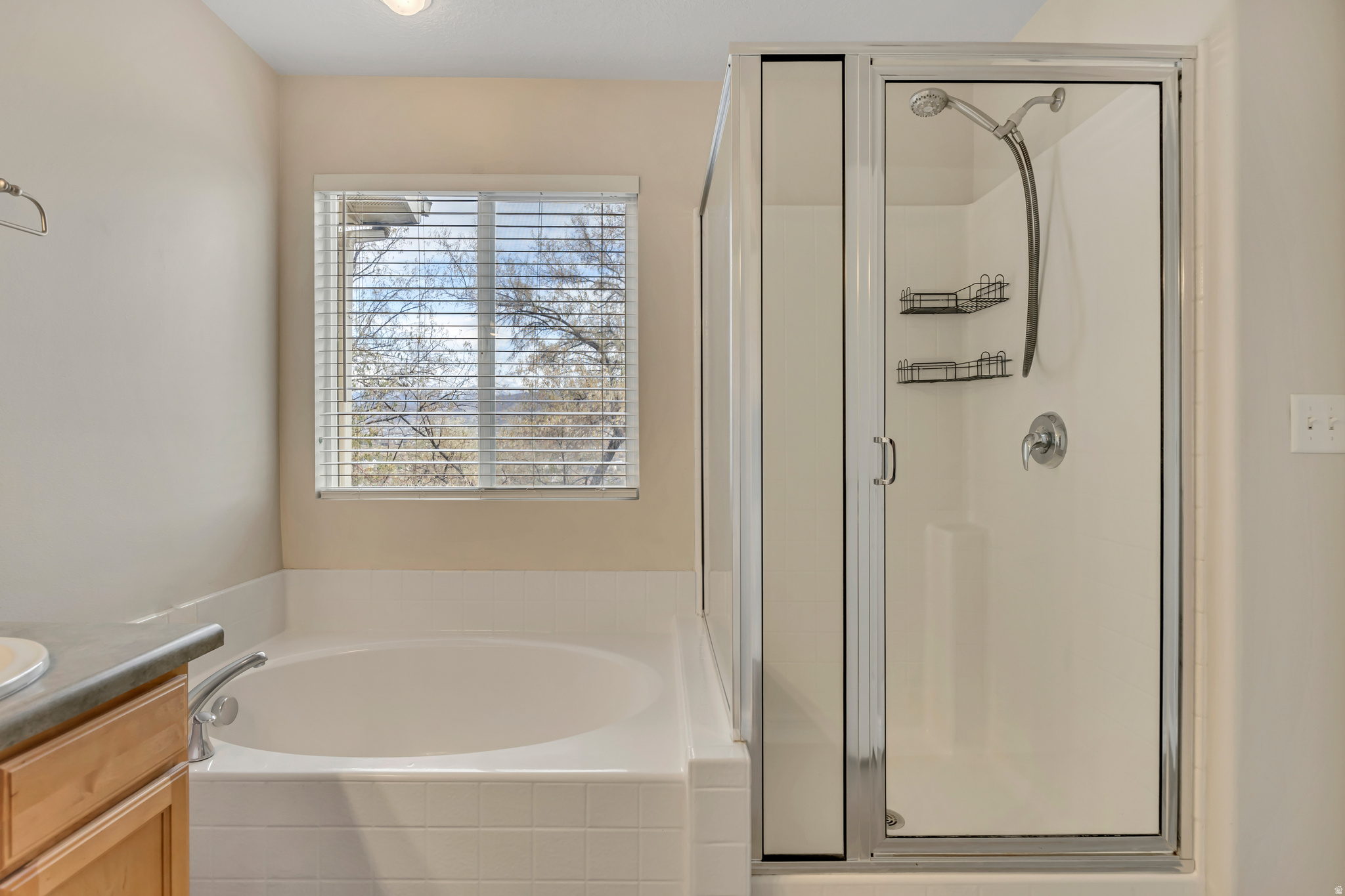 VINTAGE ON THE BLUFFS - Residential