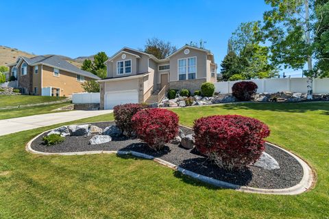 Photo of 286 N 980 E, Lindon, UT 84042 (MLS # 2158089)