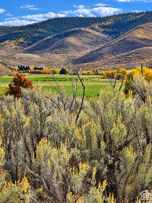 4388 E CENTER CREEK RD, HEBER CITY, UT 84032 - Image af2dbb236eb0ff5aba78e896b2952d2d/2816832064